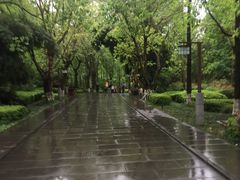 -邓小平故里