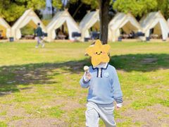 -田园东方蜜桃村的田野营地