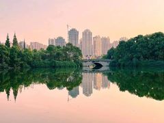 -成都南湖公园