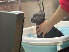 -PETKIT小佩宠物·低压洗护(国顺东路店)