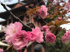 -西安青龙寺遗址景区