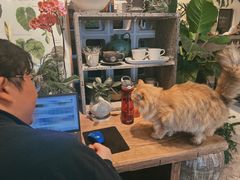 -自由生长植物工作室(深港花卉中心店)