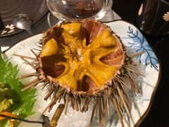 空运活海胆-天狗山料理(省体店)