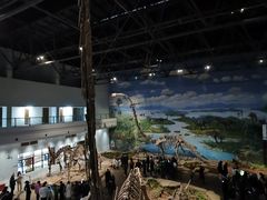 -自贡恐龙博物馆