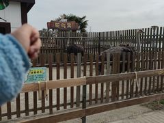 -太阳岛度假酒店