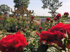 -武汉紫薇都市田园