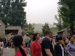 -古北烤梨