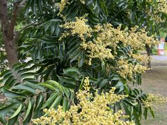 -梁鸿国家湿地公园