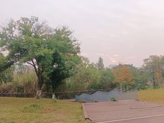 -白鹭湾湿地公园