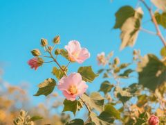 -西安市长乐公园