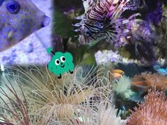 -太平洋海底世界