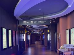 -卢米埃影城(住总万科杜比全景声激光店)