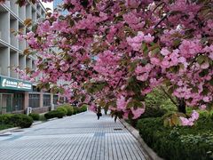 -青岛市图书馆
