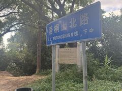 -梧桐山风景名胜区