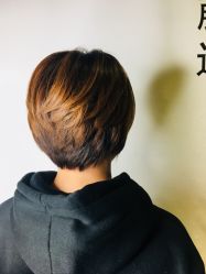 点击看大图 -藤野造型