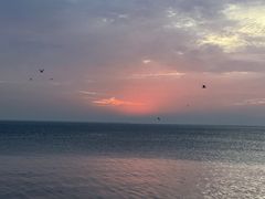 -天津东疆湾沙滩景区