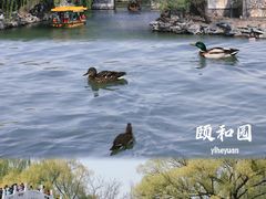 -颐和园