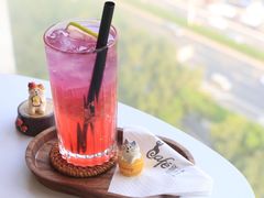 彩虹西柚气泡-猫小主咖啡·猫咖cat cafe(福田店)