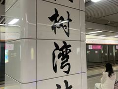 -红树湾(地铁站)