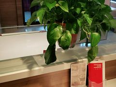 -嘉和一品粥(政府街店)