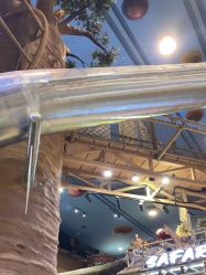 -卡通尼·Safari非洲探索乐园·生日会(金桥国际商业广场店)