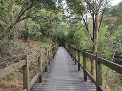 -广州白江湖森林公园