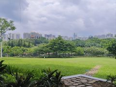 -深圳龙潭公园