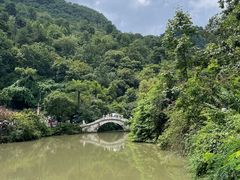 -黔灵山公园
