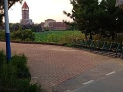 -日照海滨国家森林公园