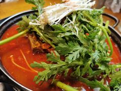 土豆排骨火锅-喇喇排骨火锅·传统韩式脊骨汤(望京西园总店)