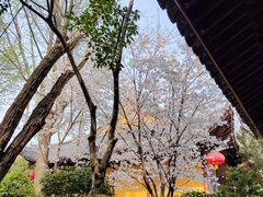 -龙华寺