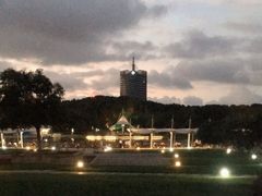 -桐乡植物园