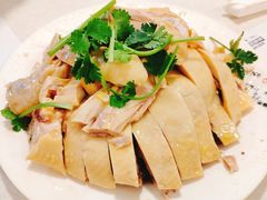-振鼎鸡(福州路店)