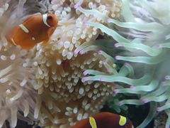 -太平洋海底世界