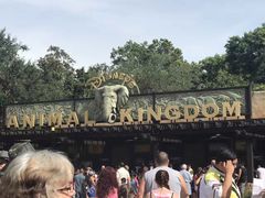 -奥兰多迪士尼动物王国乐园