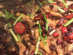 -老板恋上鱼(荣盛广场店)
