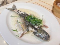 -稻香酒家·35年老字号(侨光店)