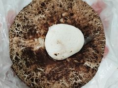 -7-ELEVEn(深圳宝安机场近14登机口)