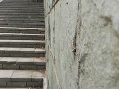 -白洋淀景区