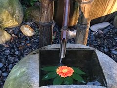 -天目湖御水温泉·度假酒店