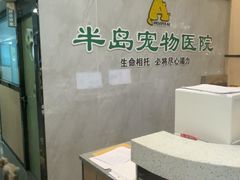-半岛宠物医院24小时(科华中路店)