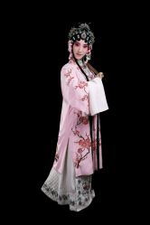 杜丽娘-胭脂猫京剧摄影