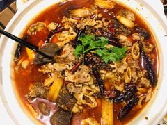 肥肠牛蛙砂锅-马头巷·食景园(苏州总店)