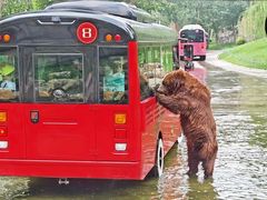 -北京野生动物园