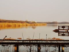-西青郊野公园