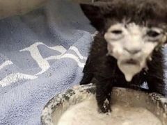 -雕刻时光咖啡馆(交大店)