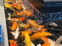 -弘安丽水温泉酒店