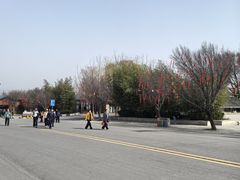 -少华山国家森林公园