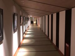 -滨千鸟之汤 海舟