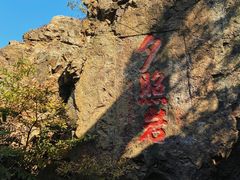 -树山生态村